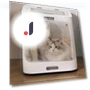 Automatic Hair Dryer Box for Cats and Pets — Dryers & Accessories, Healthy life for you