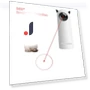 Automatic Laser Cat Toy — Cat Playthings, PetGuider
