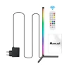 RGB Floor Lamp with Remote Control — Standing Lights, Worry free storage