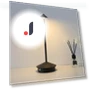 Rechargeable Touch LED Desk Lamp — Study & Desk Lighting, ZCHUA