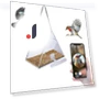 Smart Bird Feeder with Camera — Outdoor & Wildlife Cameras, Xingben Four