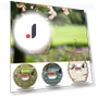Smart Bird Feeder — Backyard Birding, YiGeiWoLiGiaoGiao
