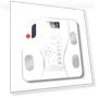 Smart Scale for Weight and Fat Measurement — Weight Management Tools, Fancy decoration