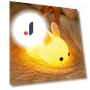Touch Night Lights with Rabbit — Night Lights, WBL