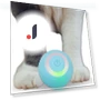 Interactive Cat Toy Ball — Cat Playthings, Holland Lec