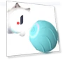 Interactive Smart Cat Toy Powerball 2.0 — Cat Playthings, Pet Zooo