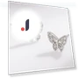Summer Smart Butterfly Earrings — Smart Jewelry, Lucky Star Jewelry