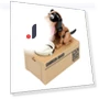 Automated Cartoon Robotic Dog Coin Bank — Savings & Piggy Banks, Home Furnishing Department Mall
