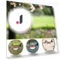 Smart Bird Feeder — Backyard Birding, linglong