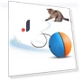 Electric Cat Toy Ball — Cat Playthings, Ren Sexy Toy