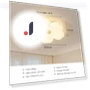 Modern LED Ceiling Light — Overhead Lighting, AE Selection