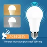Smart Motion Sensor LED Lamp — LED, Chic Interiors
