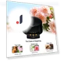 Car Aromatherapy Diffuser — Car Air Fresheners, Auto Home Solutions