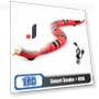 Interactive Automatic Electronic Snake Toy — Cat Playthings, Build My Home