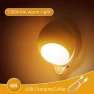 Motion Sensor Night Light — Night Lights, Seahorse Home