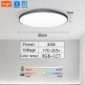 Smart Bluetooth LED Round Ceiling Light — Overhead Lighting, Rainbow Rain