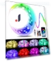 Smart Christmas Light with App Control — String Lights, Rainbow Rain