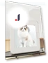 Smart Pet Dryer — Vents, Rainbow Rain