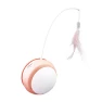 Electric Cat Toy Ball — Cat Playthings, Pet family bucket