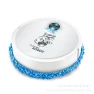 Intelligent Sweeping Robot — Smart Cleaning Robots, Home Of Auto Parts
