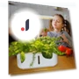 Smart Grow Light for Plants — Growing Lamps, Thunder And Fire