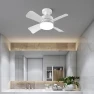 3-in-1 Ceiling Fan Light with Remote Control — Ceiling Fan Lighting Solutions, Build My Home