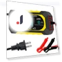 Fully Automatic Smart Pulse Repair Battery Charger — Battery Chargers, 888 Auto Parts Town