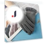 Furry Touchscreen Gloves — Gloves, Female s