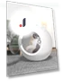 Intelligent Pet Dryer Timer — Vents, Rainbow Rain