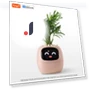Smart Pot Ivy — Plants & Greenery, Cozy Cottage-Relax