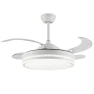 Modern Ceiling Fan with Light — Ceiling Fan Lighting Solutions, Seahorse Home