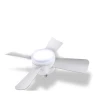 Modern Smart Silent Ceiling Fan with LED Light — Ceiling Fans, Seahorse Home