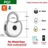 Smart Padlock — Padlocks & Hasps, RAYKUBE