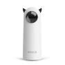 Automatic Cat Toys — Cat Playthings, NATAWA