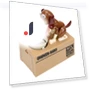 Electronic Piggy Bank — Savings & Piggy Banks, JOHO - CarGear