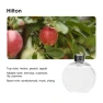 Home Desktop Aromatherapy Diffuser — Diffusers, Super Star Mall