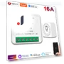 Smart Switch — Smart Home Modules, Tuya