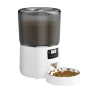 Automatic Pet Feeder — Feeders, Pawstrip