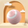 Interactive Cat Ball — Balls, xly1818