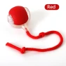 Interactive Electric Pet Toy — Cat Playthings, Pawstrip
