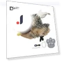 Interactive Cat Toy — Cat Playthings, Kitty Cat House