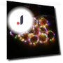 LED Curtain Lights — Garden Illumination, AI Supermarket