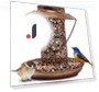 Solar-Powered Dual-Use Bird Feeder with Decorative Lawn Lighting — Backyard Birding, AI Supermarket