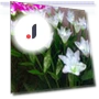 Waterproof LED Garden Light with Lilies — Outdoor Security & Flood Lighting, AI Supermarket