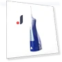 Portable Smart Electric Irrigator — Power Flossers, YASI