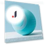 Smart Cat Rolling Ball Toys — Cat Playthings, CoCo Xili