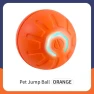 Smart Toy Ball for Dogs — Automatic Launchers, inne