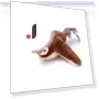 Interactive Flying Bird Toy for Cats — Cat Playthings, Pawstrip