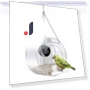 Smart Bird House Feeder with Camera — Backyard Birding, Pig Boutique