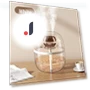 USB Air Humidifier — Air Moisturizers, FluxZone